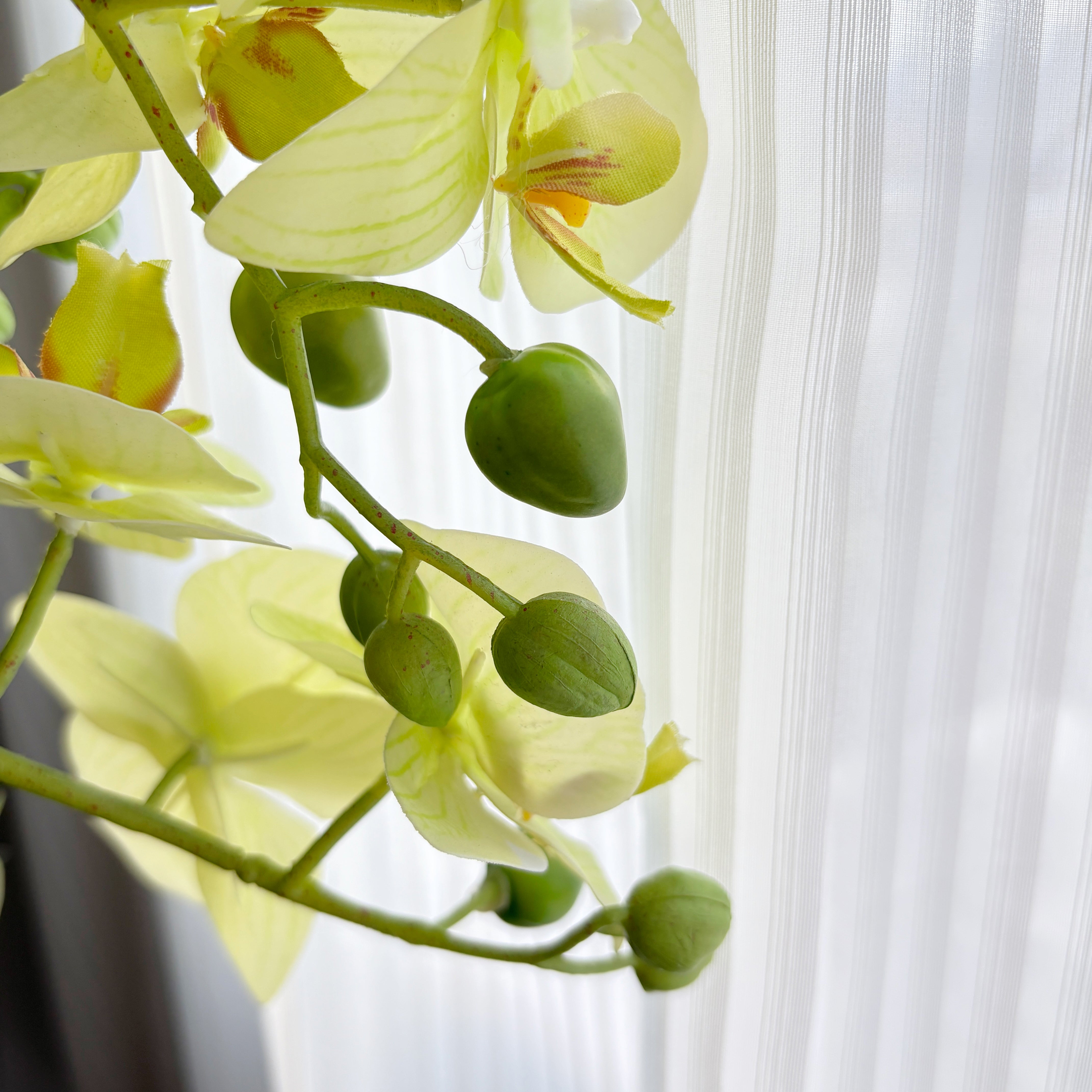 Artificial Green Orchid Plant – 29"