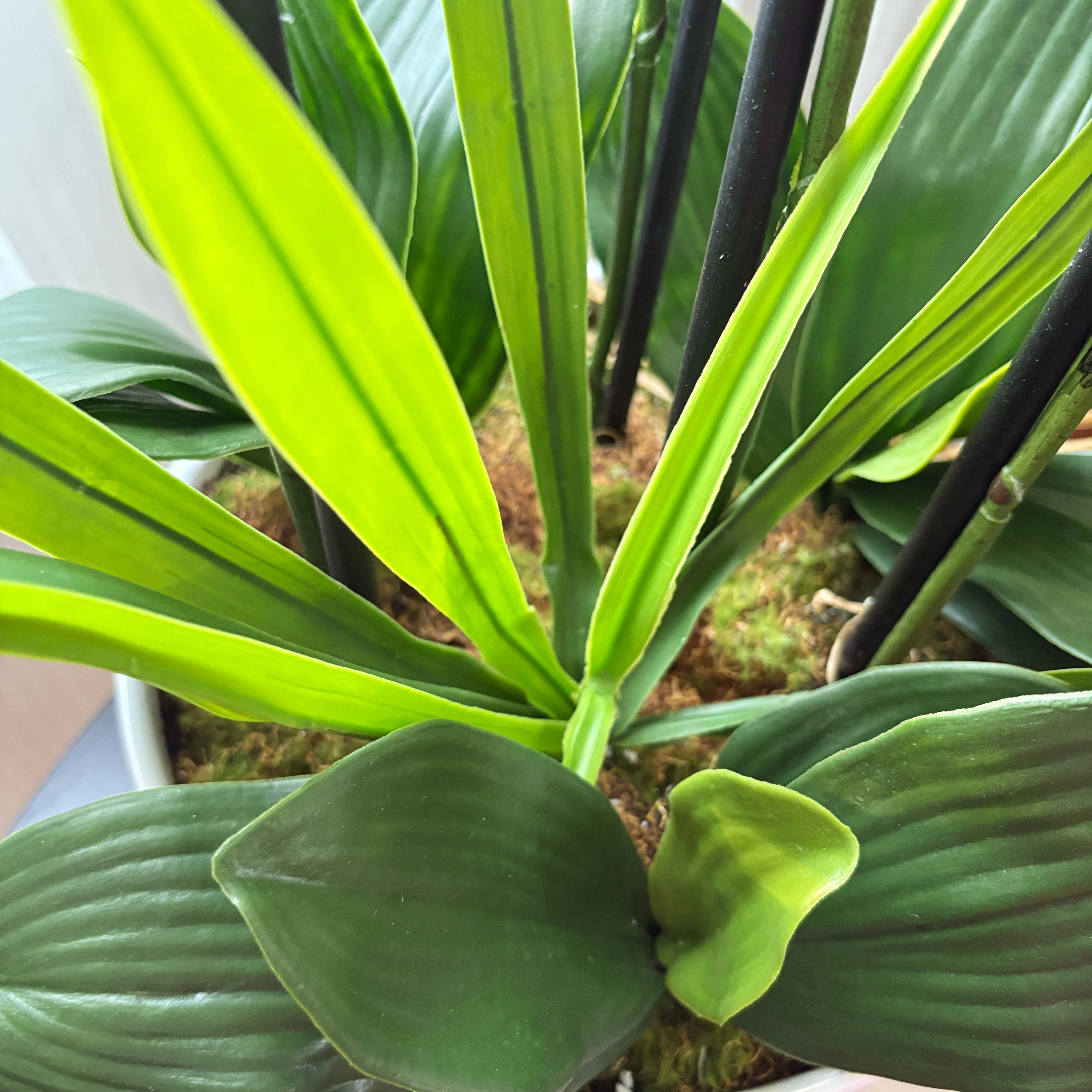 Artificial Green Orchid Plant – 29"