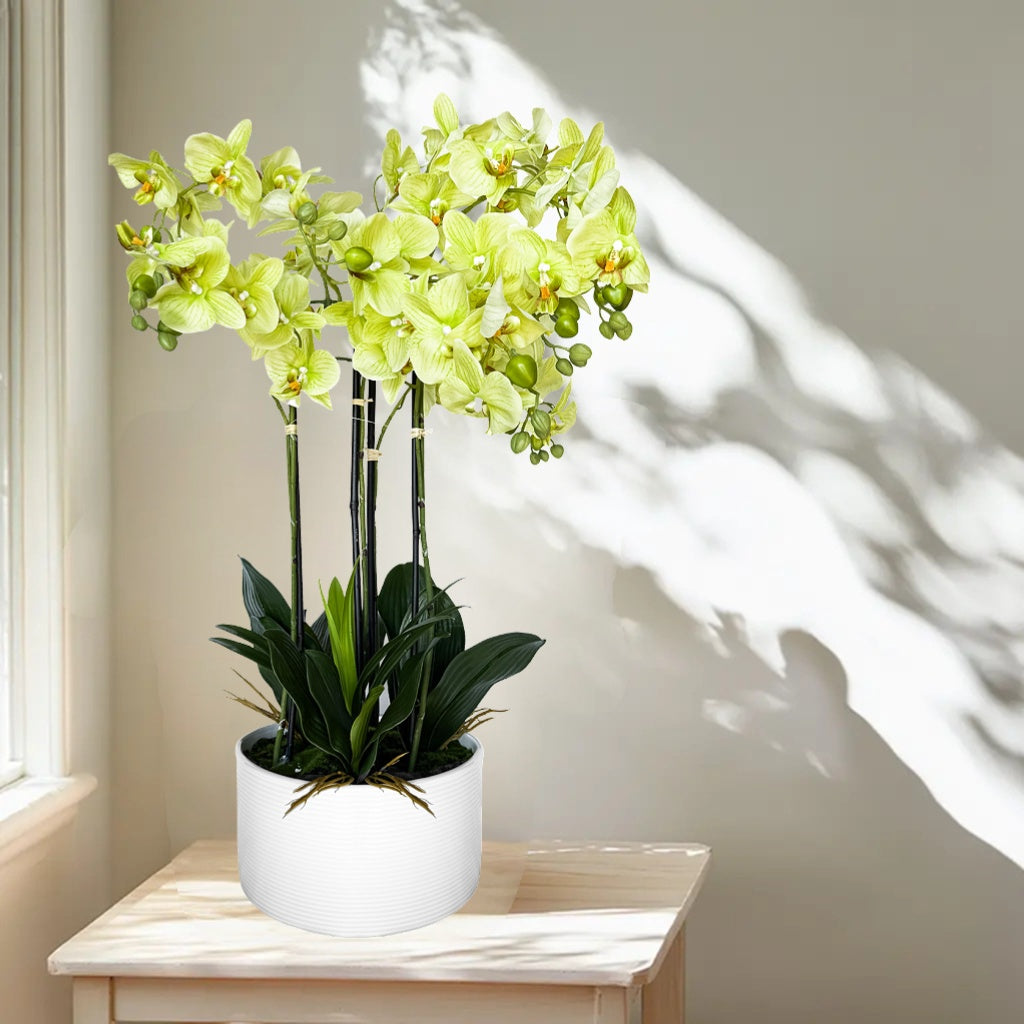 Artificial Green Orchid Plant – 29"