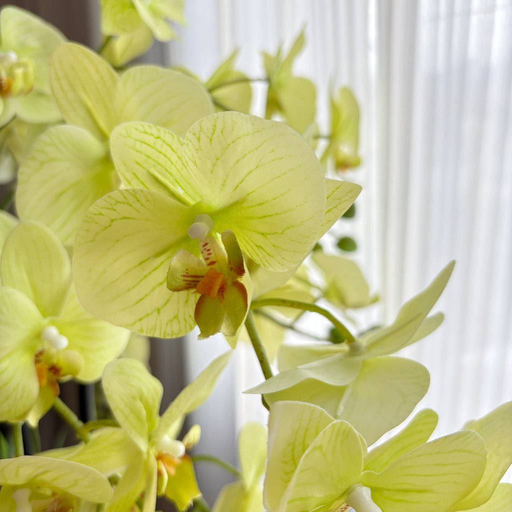 29-Inch Artificial Green Orchid Plant