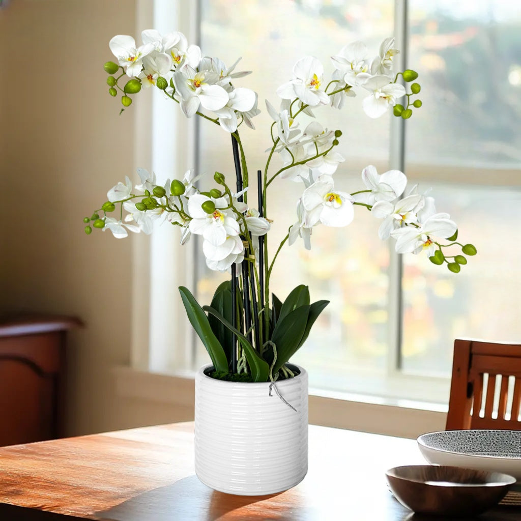 26-Inch Realistic White Artificial Orchid Plant